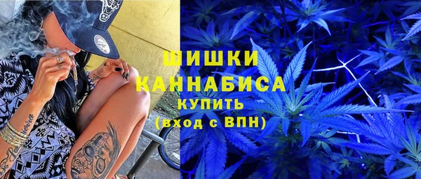 МДПВ Волоколамск