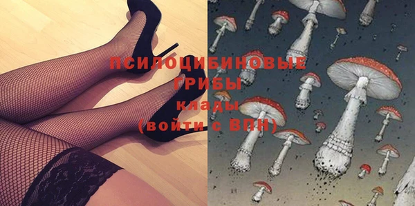 дмт Абаза
