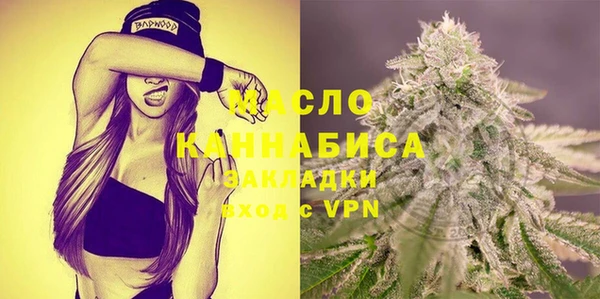 крисы Надым