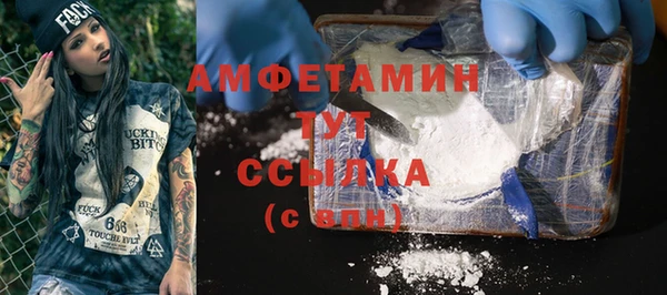 дмт Абаза